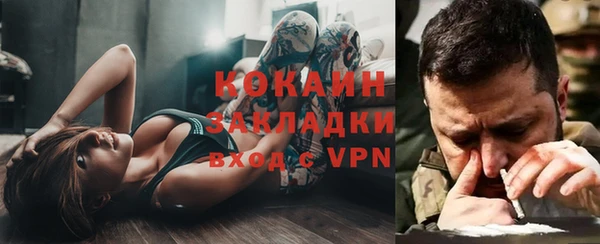 эйфоретик Гусев