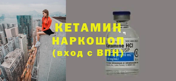 шишки Гусь-Хрустальный