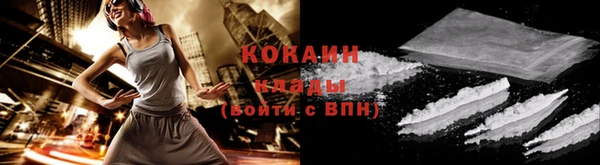 шишки Гусь-Хрустальный