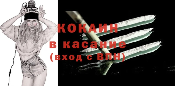 шишки Гусь-Хрустальный