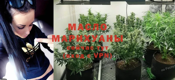 эйфоретик Гусев
