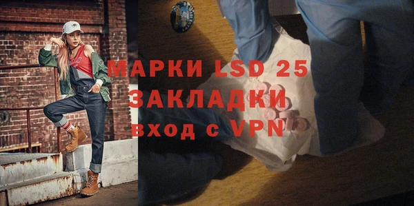 шишки Гусь-Хрустальный
