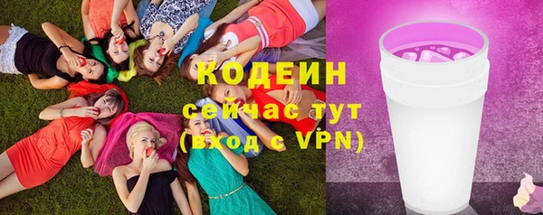 шишки Гусь-Хрустальный