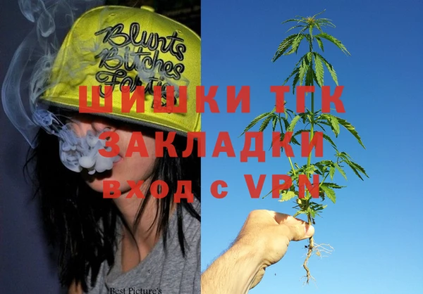 шишки Гусь-Хрустальный