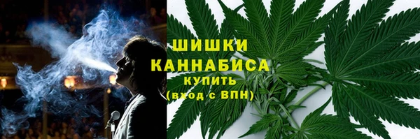 эйфоретик Гусев