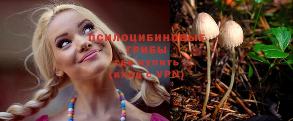 шишки Гусь-Хрустальный